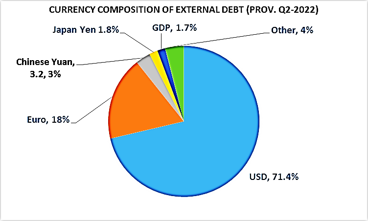 Debt by Currency